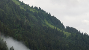 在奥述山高山上由树木穿过的云层10秒视频