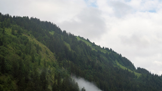 在奥述山高山上由树木穿过的云层视频