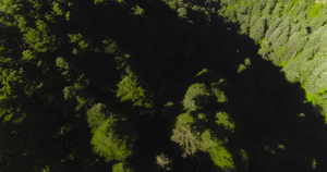 从查克拉塔印度北阿坎德邦附近的德奥班森林出发的奇妙30秒视频