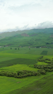 航拍4A景点伊犁唐布拉大草原自然风光视频天山山脉视频