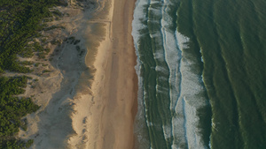 黄昏时带沙丘棕沙和绿海的热带海滩空中鸟眼视最高镜头10秒视频
