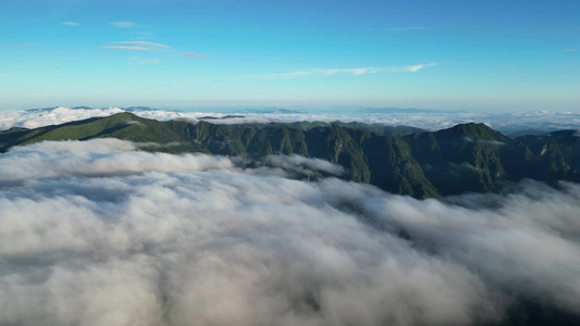 航拍高山云海湖北神农架景区 视频