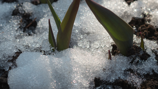 积雪融雪的延时拍摄视频