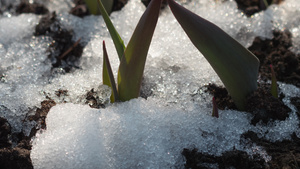 积雪融雪的延时拍摄23秒视频