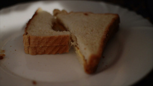 一个可口三明治12秒视频