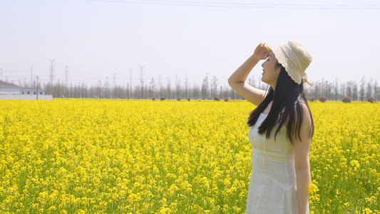 长裙女人在油菜花田里赏花视频