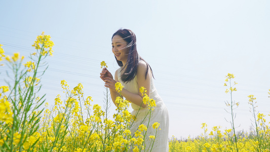 女人在油菜花田里闻花香视频