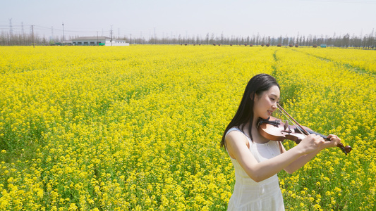 女人在油菜花田里拉小提琴视频