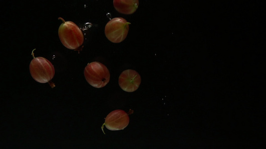 鹅莓沉入水中视频
