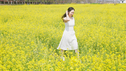 长裙女人在油菜花田里视频