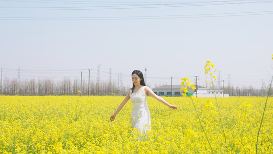 长裙女人在油菜花田里开心赏花视频