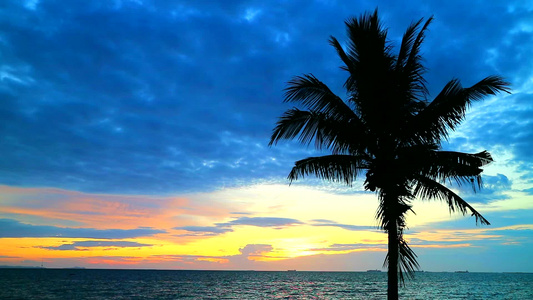 海边的椰子椰子日落天空的红云视频