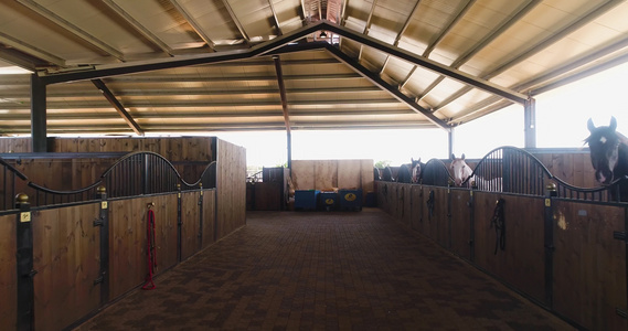 内部视图或马种马谷仓牧场空中小车白天在农村的马农舍视频