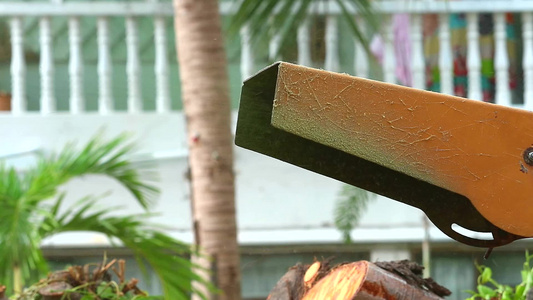 切树机是烟囱中喷洒的木材废物视频