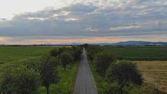 田间路段之间具有地方意义的沥青路的自然风景视频