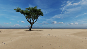 沙漠里的大树3d动画29秒视频