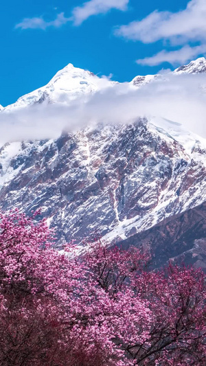 著名南迦巴瓦峰云雾缭绕西藏旅游12秒视频