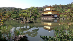 金宫殿的庙宇鬼神之子日本京都13秒视频