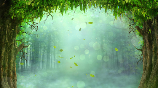 绿光森林素材背景视频视频