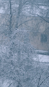 寒冬暴风雪天气城市街道通行汽车小心驾驶视频