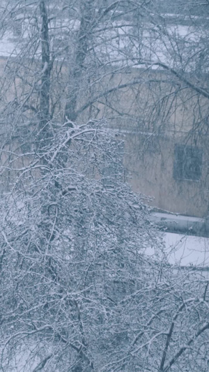 寒冬暴风雪天气城市街道通行汽车小心驾驶8秒视频