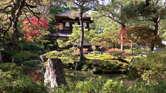 京都秋季木乃伊季节银殿堂的ginkakuji寺庙视频