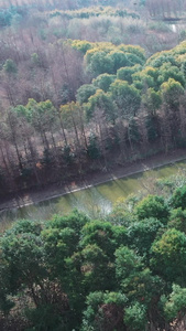 上海松江泖港湿地公园现代化视频