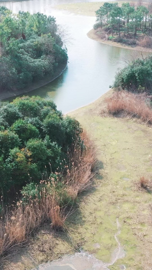 上海松江泖港湿地公园上海城市风光158秒视频