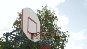 篮球运动7秒视频