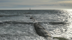 蓝湾岸的石质防波堤码头以地平线帆船为背景30秒视频