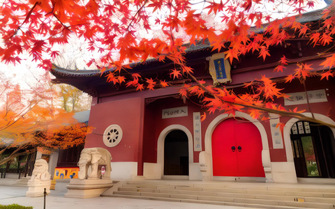 南京栖霞寺的秋天视频