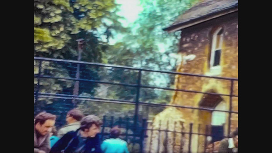 1965年联合王国动物园长颈鹿视频