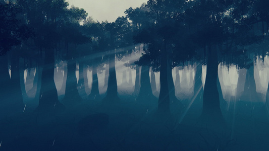 摄像头飞经雾雾笼罩的黑暗幽暗森林2视频