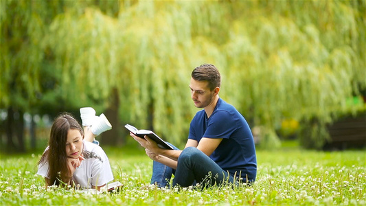 年轻轻松的夫妇在躺在草地上读书视频