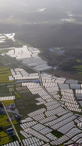 航拍大棚种植基地视频