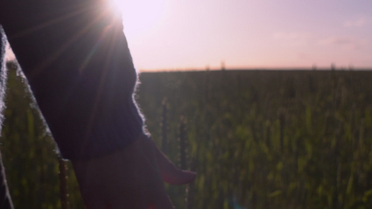 日落时走过草原的女性视频