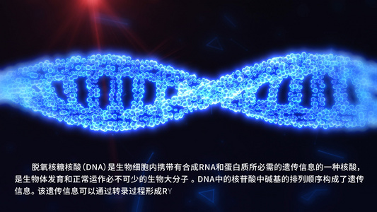 DNA动画AE模板视频 视频