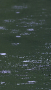 拍摄春雨雨滴落在湖面视频