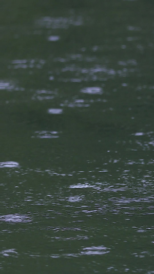 拍摄春雨雨滴落在湖面29秒视频
