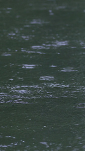 拍摄春雨雨滴落在湖面视频