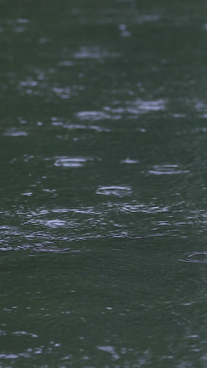 拍摄春雨雨滴落在湖面29秒视频