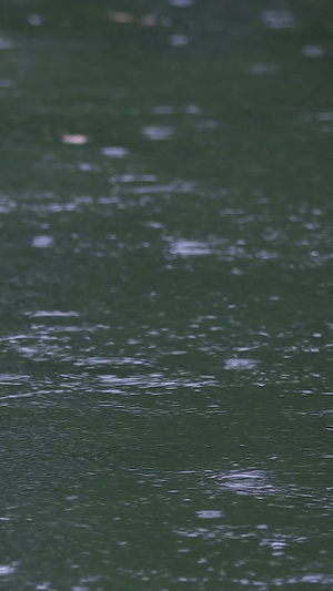 拍摄春雨雨滴落在湖面29秒视频