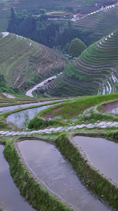 桂林龙脊梯田航拍黄金周旅游视频