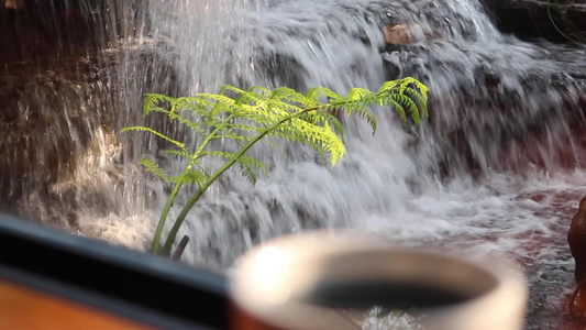在瀑布花园的风景中早上一杯咖啡拿铁视频