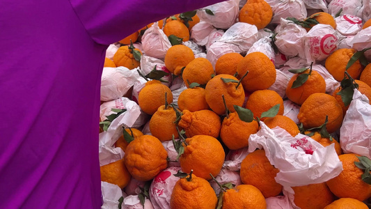 菜市场买沃柑粑粑橙橘子橙子视频