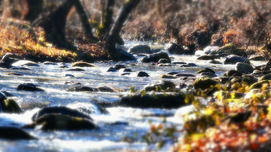 河流岩石秋天自然视频