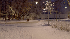 冬季冬夜城市公园20秒视频