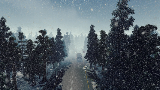 冬季的森林道路被雾覆盖时有4千辆汽车在下雪中驾车驾驶视频