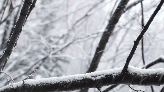 下雪视频