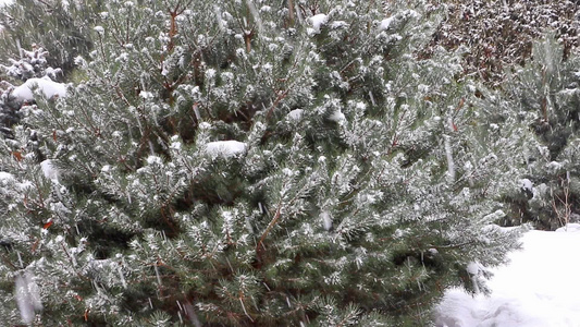 下雪时正在降雪视频